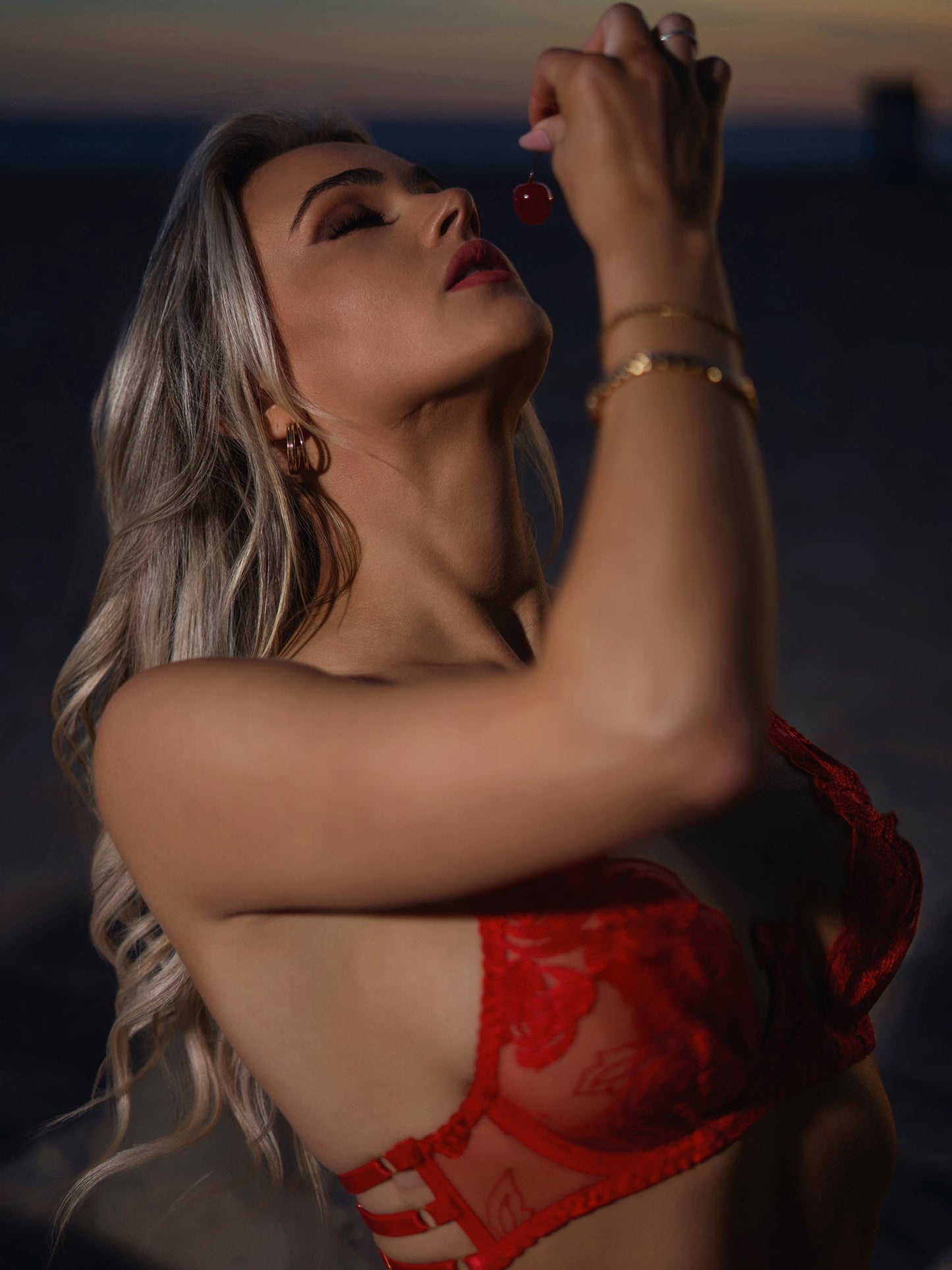 Red Embroidered Sexy Push Up Lingerie Set